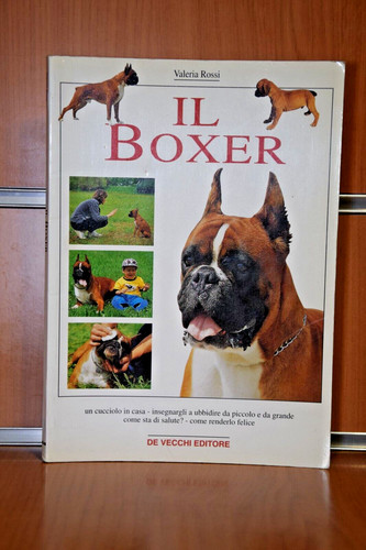 Boxer valeria rossi - il,