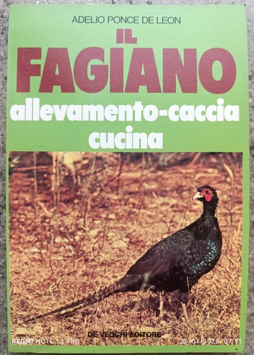 Fagiano allevamento caccia - il, fagiano: