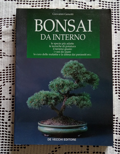Bonsai interno giovanni - bonsai,