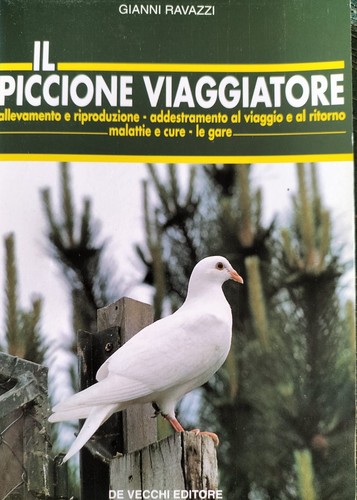 Piccione viaggiatore - il,