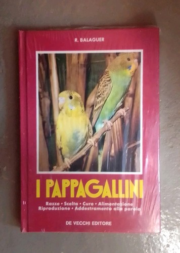 Pappagallini balaguer - i, r.