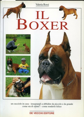 Valeria rosi boxer - valeria,