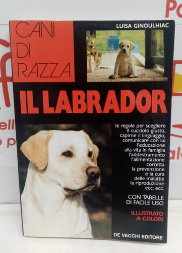 Labrador luisa ginoulhiac - labrador,