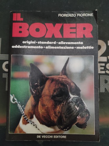 Fiorenzo fiorone boxer - fiorone, il