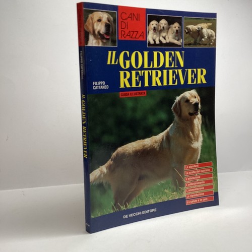 Golden retriever cani - golden, di