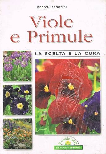 Viole primule de - primule,