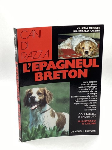 Epagneul breton merighi - l'epagneul,