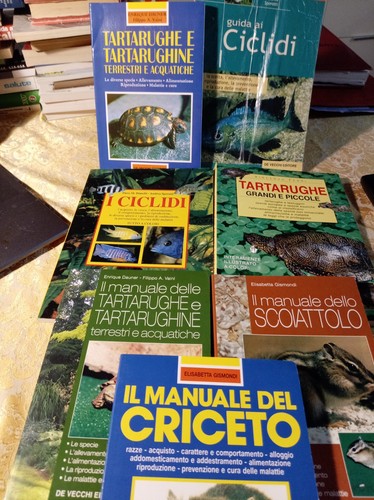 Lotto vecchi editore - de,