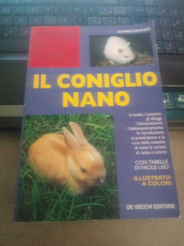 Gianni ravazzi coniglio - gianni,
